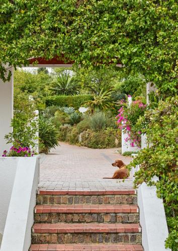 Un jardín fuera de Deux Frères Wine Estate & Luxury Villas
