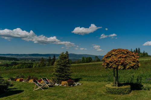 two chairs and a tree in a field at Dom Wypoczynkowy U Staszla in Bańska
