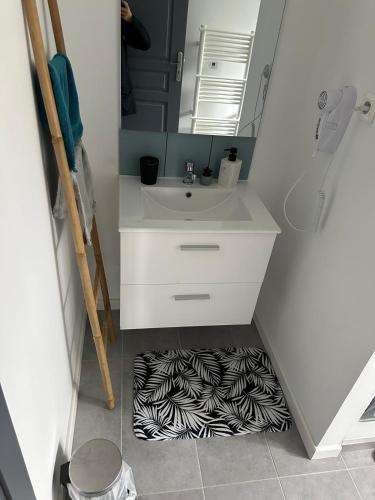 une salle de bain avec un lavabo et un tapis zèbre au sol dans l'établissement Le Riquewihr, à Riquewihr