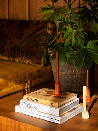 una pila de libros sobre una mesa con una maceta en Sun Ranch, en Coopers Shoot