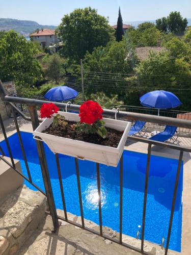 een plantenbak met bloemen op een reling naast een zwembad bij Panorama Pearl in Balchik