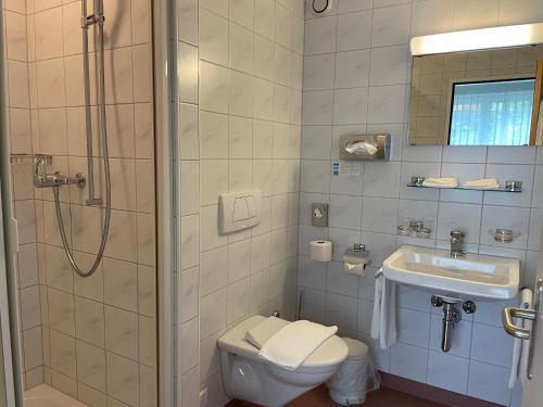 a bathroom with a shower and a toilet and a sink at Zentrum Elisabeth in Walchwil