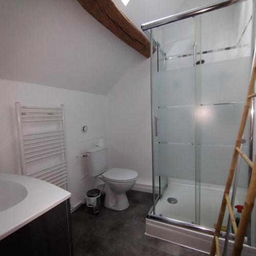 a bathroom with a toilet and a glass shower at Au fil de l'Orge in Saint-Chéron