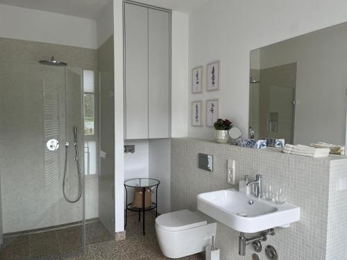 een badkamer met een wastafel, een douche en een toilet bij My Marina Apartment mit Pool und Sauna am See in Bad Saarow