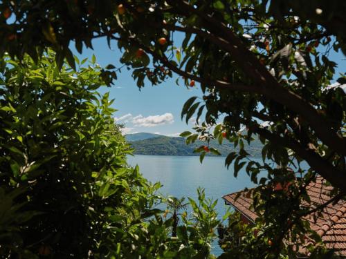 a view of a lake through the branches of trees at Hotel Sole in Cannero Riviera