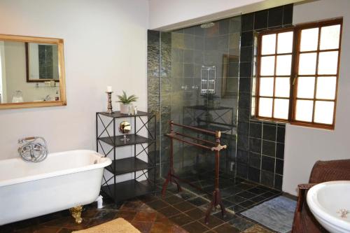 a bathroom with a shower and a tub and a sink at Remi Lodge in Dullstroom