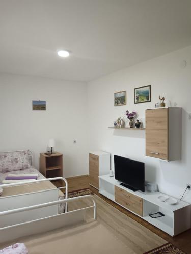 a white room with a bed and a tv at Smeštaj Pejčić Dojkinci in Pirot