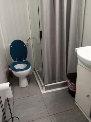 La salle de bains est pourvue d'une douche et de toilettes bleues. dans l'établissement Petit paradis à 50 mètres plage, à Argelès-sur-Mer