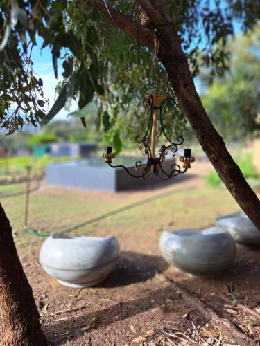 three stone bowls are sitting under a tree at 11 Mountain Stream Hot Tub Self Catering in Gordonʼs Bay