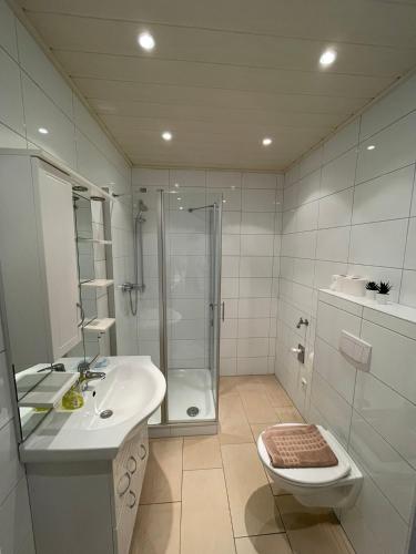 a bathroom with a shower and a sink and a toilet at Apartment am Stadtgarten in Norden