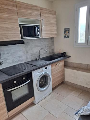 une cuisine avec un lave-linge et un micro-ondes dans l'établissement Studio pour couple, à Luri