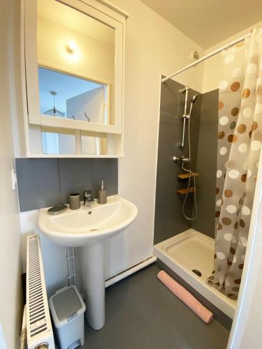 une salle de bain avec un lavabo et une douche dans l'établissement Apt Val d'Europe - 10 min de Disney - Parking, à Montévrain