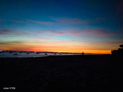 a sunset on a beach with a group of animals at Jolie maison paisible, avec jardinet et parking in Gujan-Mestras