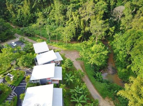 an aerial view of a house in a forest at Bangnu Greenery Resort in Takua Thung