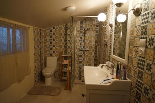 une salle de bain avec toilettes, lavabo et douche dans l'établissement Domaine Lapin Qui Rit , chambre Céline, à Saint-Jean-de-Côle