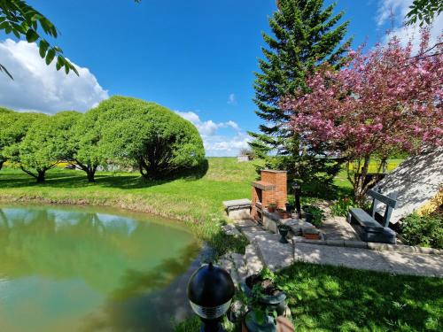 a view of a pond with a bench and trees at Guest House BENHAUS ar pirti un āra kublu in Sarkaņi
