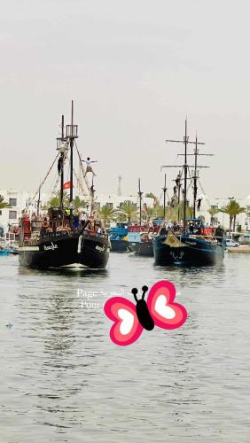 een groep boten in een waterlichaam bij 119 camus 120 in Houmt Souk