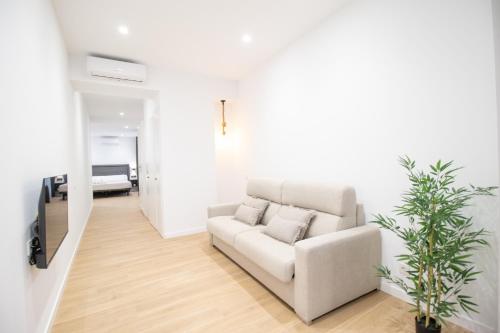 BedTime Suites by Concept Flats