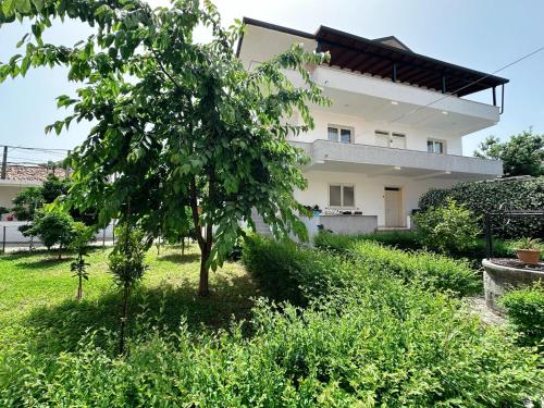 Js House Shkoder 3室外花園