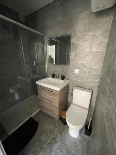 une salle de bain avec toilettes, lavabo et douche dans l'établissement 2-Appartement RDC avec jardin, à Mantes-la-Jolie
