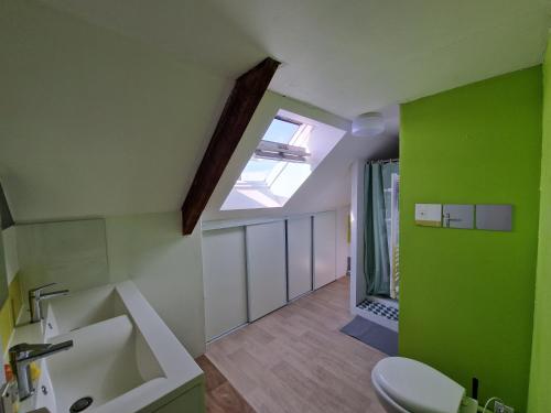 a bathroom with green walls and a sink and a toilet at Maison 6 chambres Saint Nazaire 5 min de la mer in Saint-Nazaire