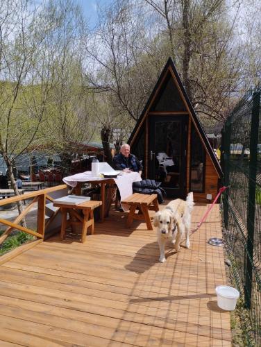 a man sitting at a table with a dog on a deck at Fio's Garden camping otel in Aksaray