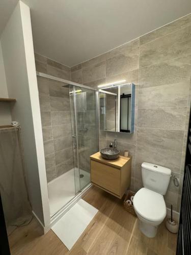 une salle de bain avec une douche, des toilettes et un lavabo dans l'établissement Appartement Hyper centre, à La Rochelle