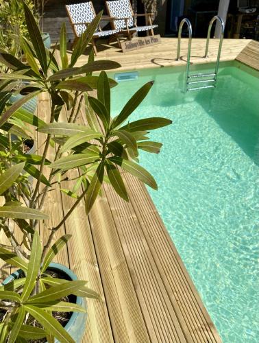une piscine avec une plante à côté d'une terrasse en bois dans l'établissement Villa des Pins, à Jullouville