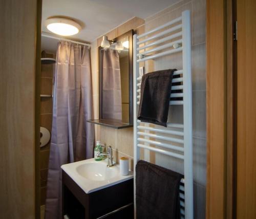 une salle de bain avec un lavabo et une douche dans l'établissement Charmant T2 à deux pas de la célèbre place Stanislas, à Nancy