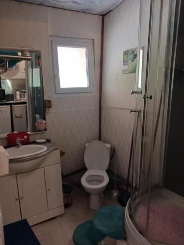 une salle de bain avec toilettes, lavabo et fenêtre dans l'établissement Studio indépendant avec terrasse, à Montalieu-Vercieu