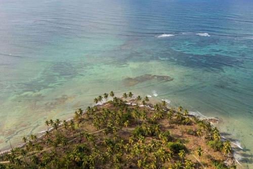 an island in the ocean with palm trees on it at Wyndham Alltra Samana All Inclusive Resort in Las Galeras