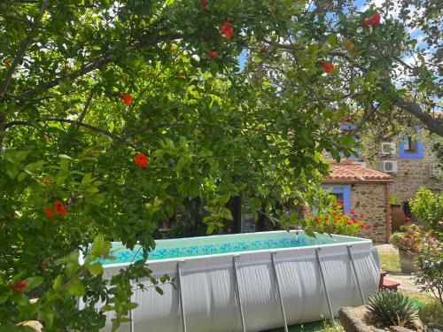 una bañera en un patio con un árbol en CASA RURAL La Moranta, en Herguijuela