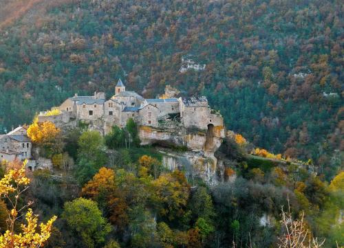 un vieux château sur une colline dans la forêt dans l'établissement Gites Castel de Cantobre - L'Egyptien, à Cantobre
