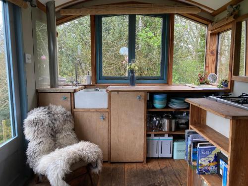 una cocina con un perro sentado en una silla en una cocina en Tree house and shepherds hut, en Ashburton