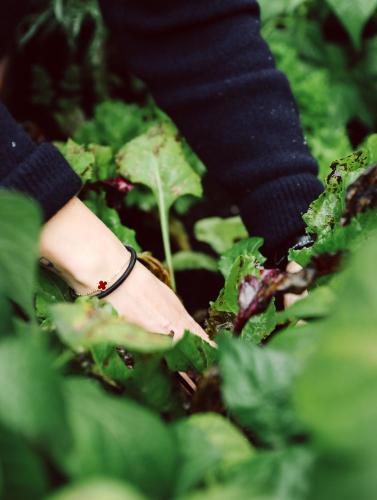 a person wearing a bracelet walking through a plant at Heimspitze - Alpenhotel & Wirtshaus in Gargellen