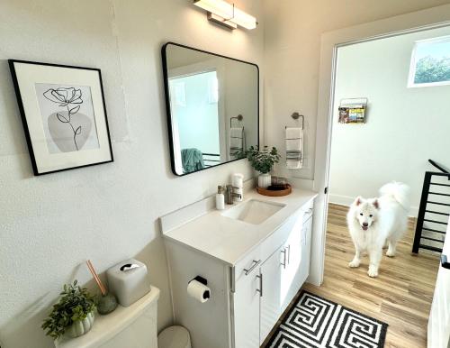 a bathroom with a dog standing in front of a mirror at Designer NEW 10min dt Pet friendly 7min Park-Room A in Austin