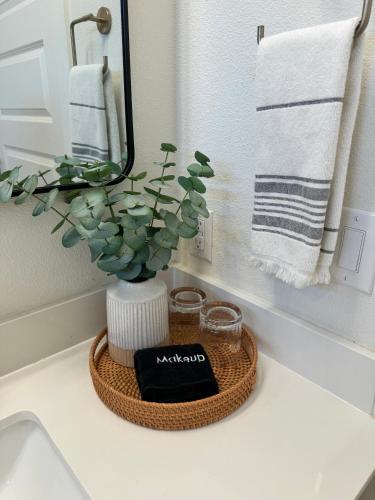a bathroom counter with a basket with a plant on it at Designer NEW 10min dt Pet friendly 7min Park-Room A in Austin