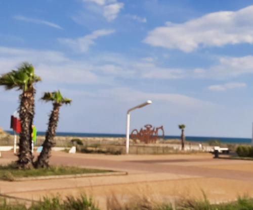 une lueur de rue et des palmiers sur la plage dans l'établissement Les Pieds dans l'Eau, au Barcarès