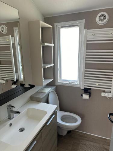 une salle de bain avec un lavabo et des toilettes et une fenêtre dans l'établissement Camping Mar Estang, à Canet