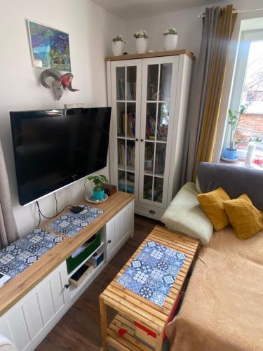 a living room with a large flat screen tv at Homestay Lipník-private country house in Lipník