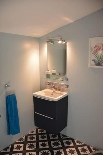a bathroom with a sink and a mirror at Large 3 bedroom Cottage near Ruffec in Bernac