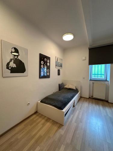 ein Schlafzimmer mit einem Bett in einem Zimmer in der Unterkunft Ljubljana Center Nearby Everything in Ljubljana