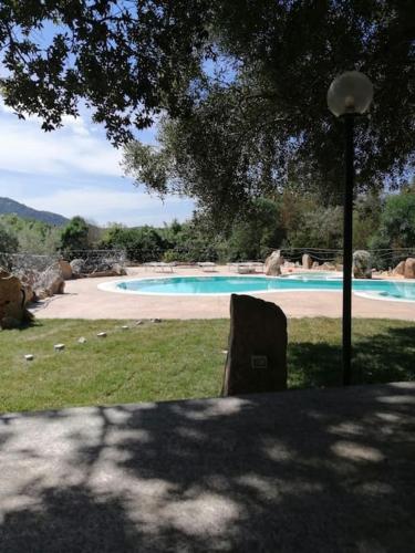 a chair sitting under a tree near a swimming pool at Luxury Home in Porto Rotondo in Cugnana