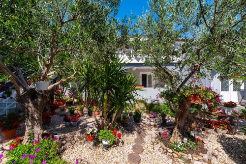 Apartments Say close to Center and Beach