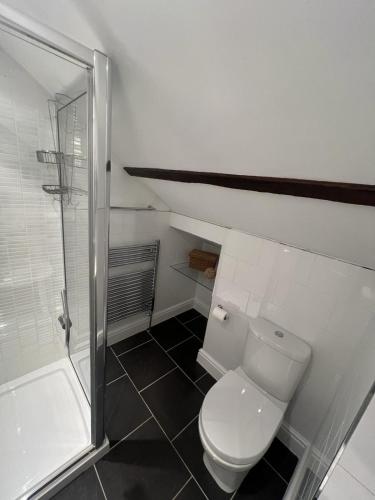 Guild Hall, sleeps 8 with parking in New Quayにあるバスルーム