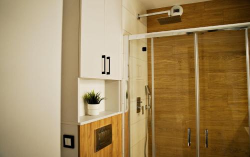 baño con ducha y puerta de madera en Apartment Bulwary 4, en Oświęcim