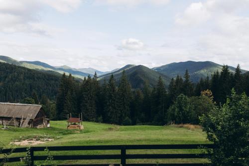 a field with a barn and mountains in the background at Zillya Club in Tatariv