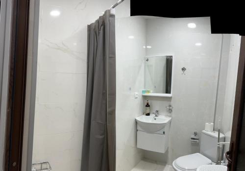 y baño con aseo, lavabo y ducha. en Kutaisi Apartment en Kutaisi