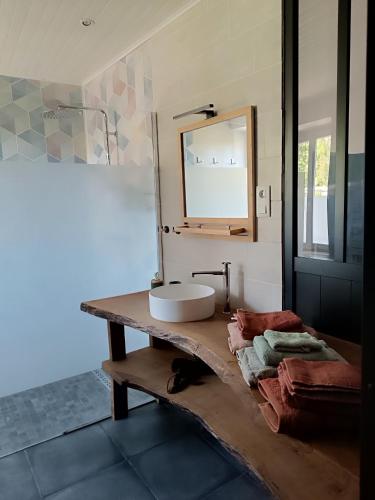 a bathroom with a sink and a mirror on a table at Maison meublé au centre de Luc in Luc-en-Diois