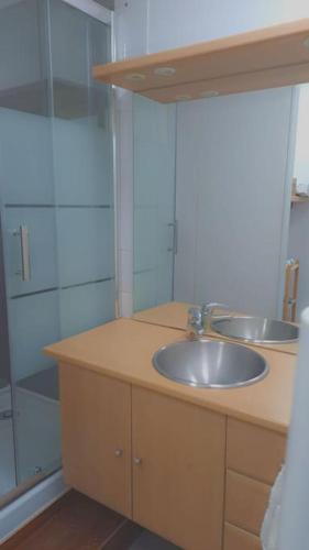 une salle de bain avec un lavabo et une douche dans l'établissement Charmante Petite Maison à 2 Pas de la Mer Maison 6, à Binic